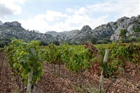 Nauer Newsletter Februar/März