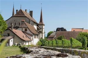 Château d'Auvernier