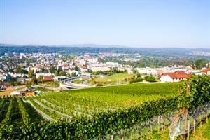 Müller Mario, Stadtberg Bremgarten