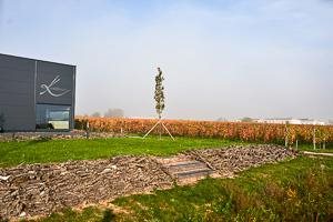 Kerschbaum Maria, by David Kerschbaum Kerschbaum Maria, by David Kerschbaum