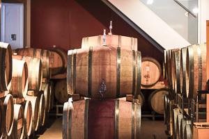 Kerschbaum Maria, by David Kerschbaum Kerschbaum Maria, by David Kerschbaum