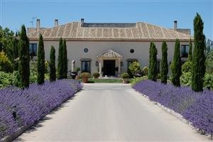 Bodegas y Viñedos Martuela